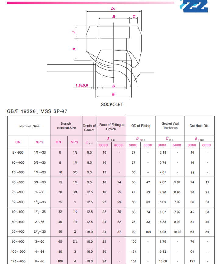 Stainless Steel Sockolet - Forged Pipe Fittings--SHANGHAI ZHUCHENG PIPE ...